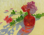 Geraniums