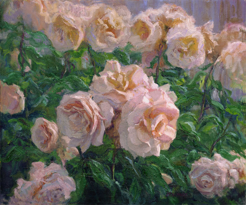 Soft Pink Roses