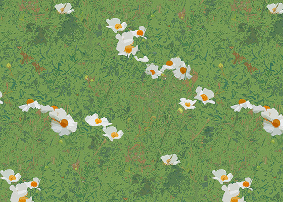 Matilija Poppies Pattern Swatch